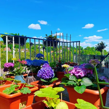 Апартаменты Panoramic & Modern With A Mountain View Lohr am Main
